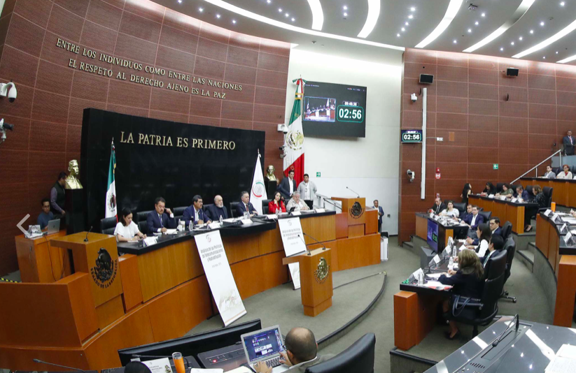 img_noticia